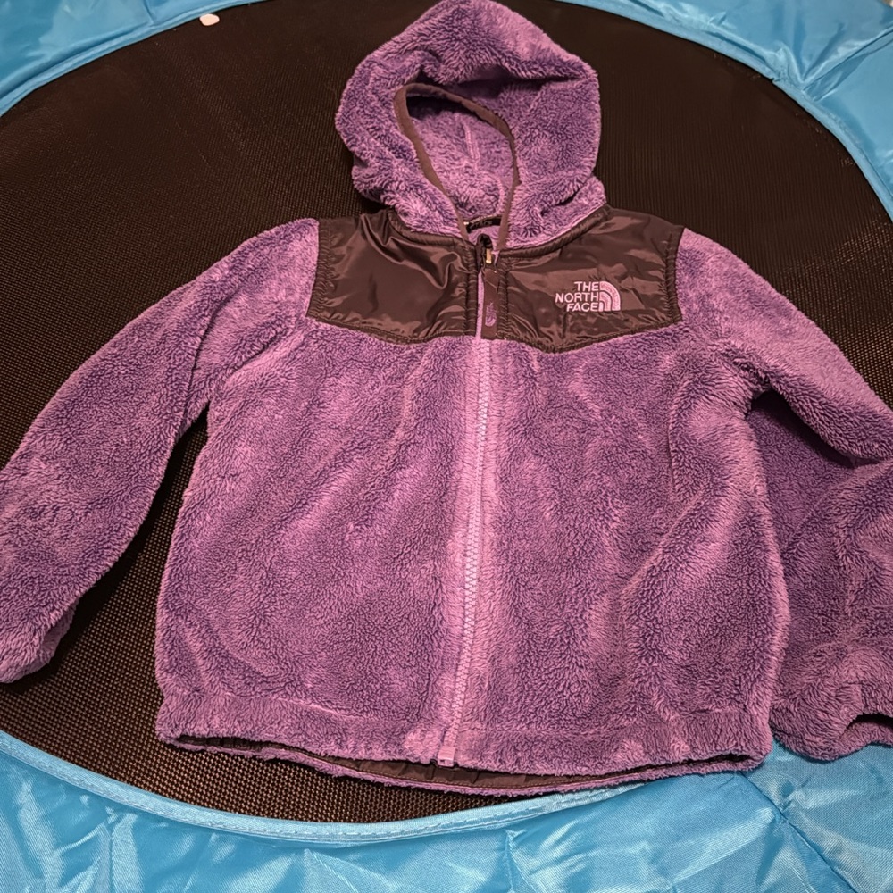 The North Face Lavender Fleece Hoodie